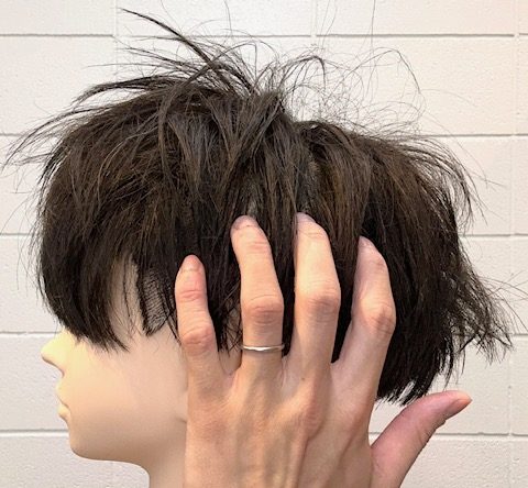 画像に alt 属性が指定されていません。ファイル名: IMG_9544-e1738115220578.jpg